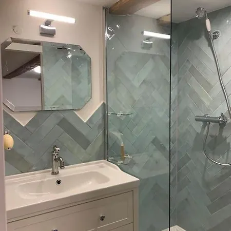 Au Coeur De La Veille D'annecy Apartment *